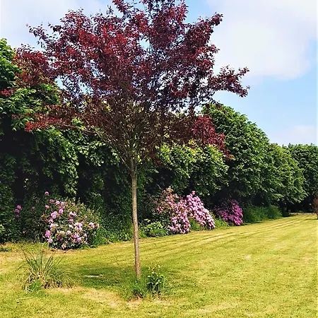 Le Domaine De La Feriere