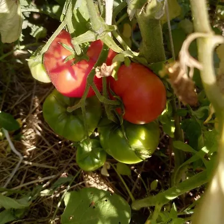 Le Domaine De La Feriere Nyaraló Sallen