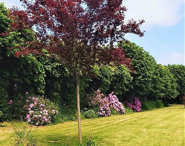 Le Domaine De La Feriere