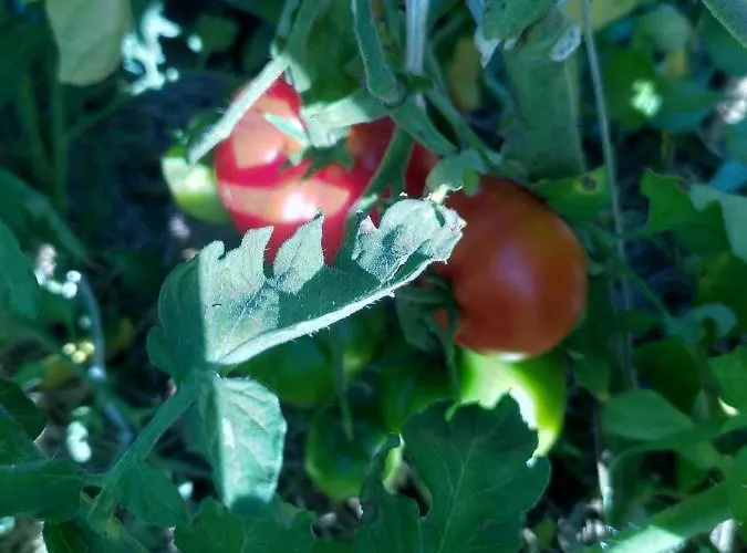 Prázdninový dům Le Domaine De La Feriere Sallen