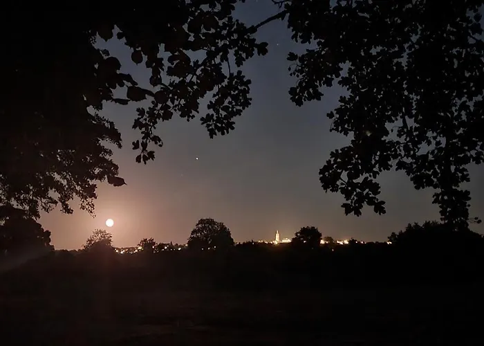 Le Domaine De La Feriere * Sallen