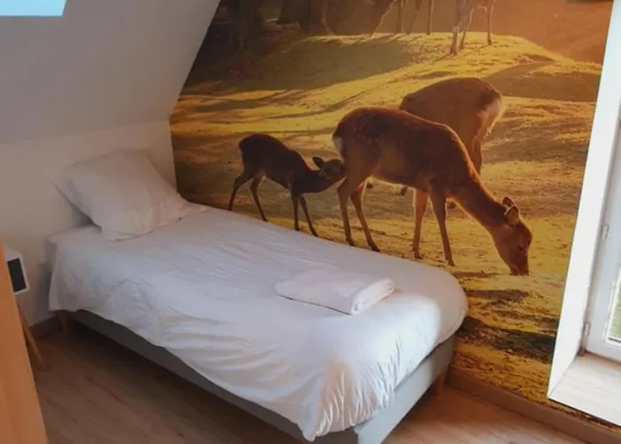 Le Domaine De La Feriere * Sallen